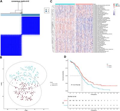 Immune Subtypes Characterization Identifies Clinical Prognosis, Tumor Microenvironment Infiltration, and Immune Response in Ovarian Cancer